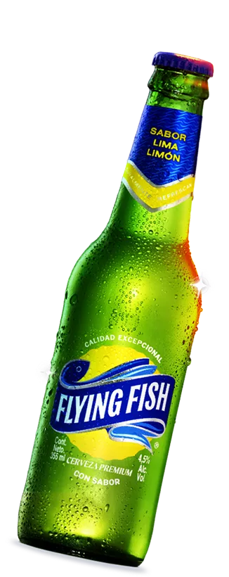 botella