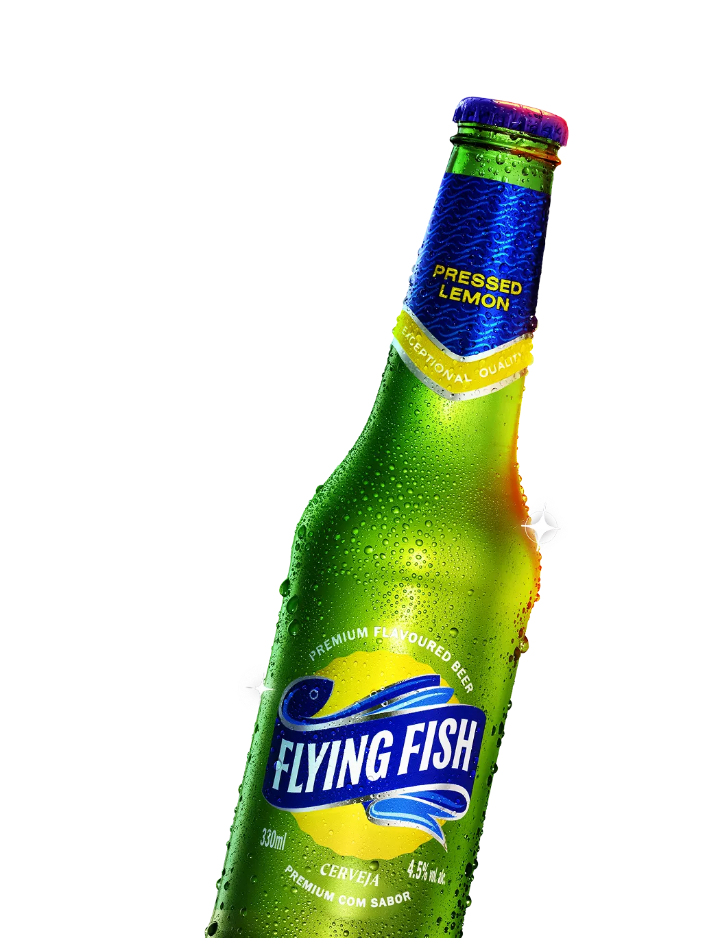 botella