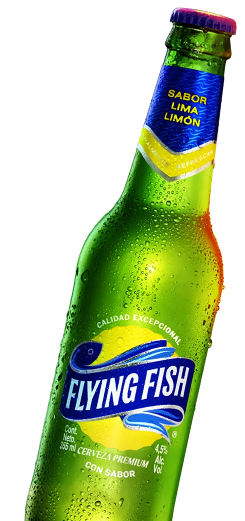 botella
